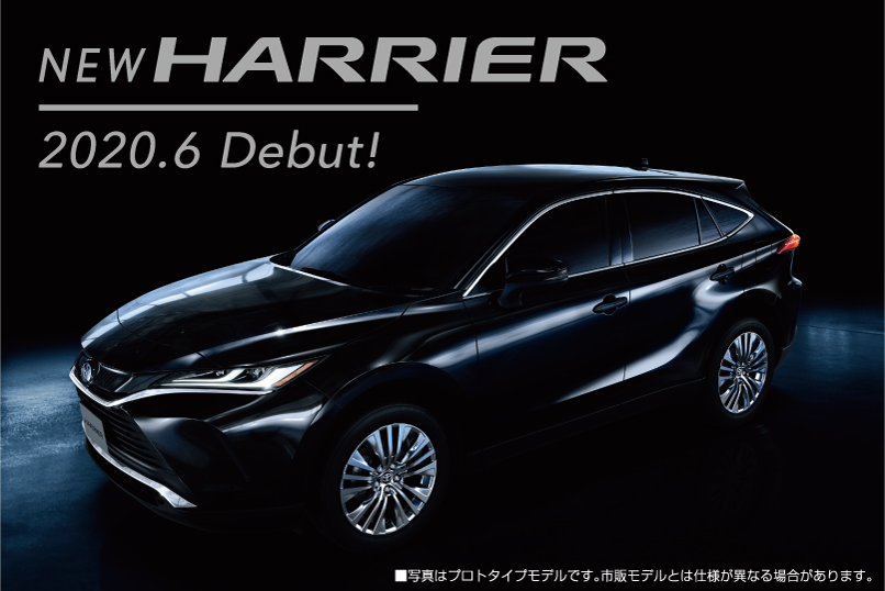 harrier
