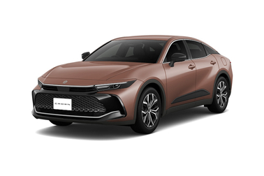 プレシャスブロンズ〈4Y6〉フロントサイド
