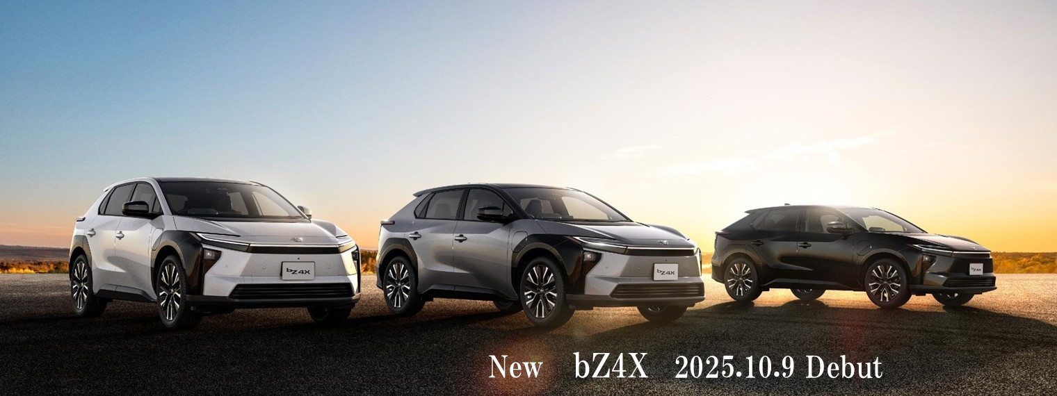 bZ4X(PC)