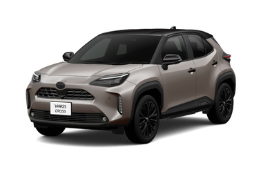 ブラックマイカ〈209〉×アーバンロック〈1M6〉［M43］フロントサイド